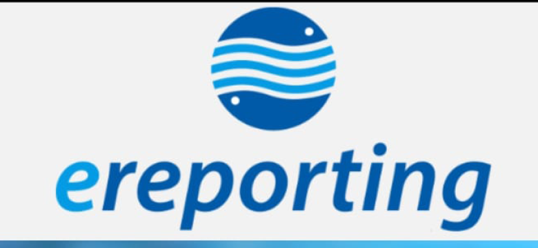 ereporting