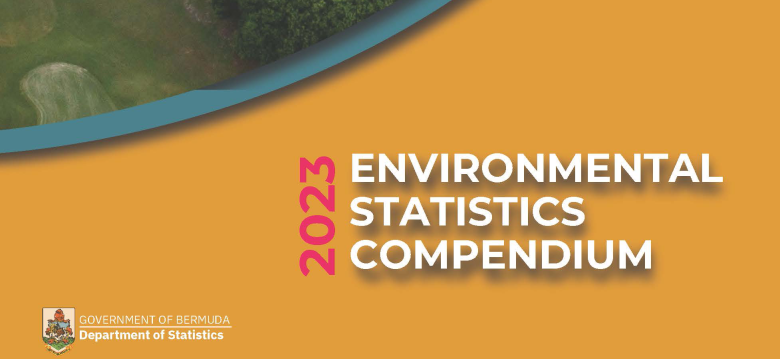 Environmental Statistics Compendium